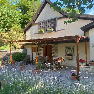 la-colombaia-amiata.it-tuscanyhotel.com/